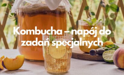 Kombucha – napój do zadań specjalnych