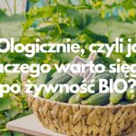 EKOlogicznie, czyli jak? Dlaczego warto sięgać po żywność BIO?