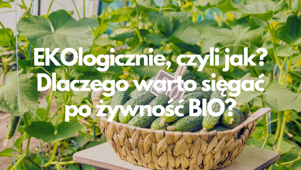 EKOlogicznie, czyli jak? Dlaczego warto sięgać po żywność BIO?